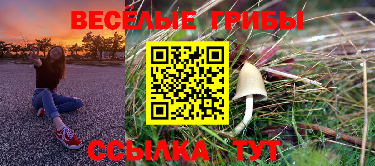 Псилоцибиновые грибы Cubensis  Псилоцибиновые грибы Cubensis  Вход с VPN  наркошоп  Аша 