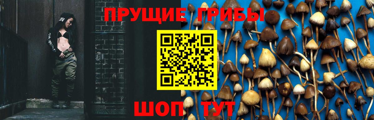 Галлюциногенные грибы MAGIC MUSHROOMS Аша